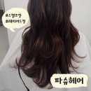 성포로 | 안산 성포동 미용실 &#39;파슈헤어&#39; 긴머리 레이어드컷 스캘프컷으로 두피관리 까지 만족 후기