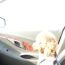 그루밍박스 이미지