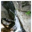 메이플펜션 이미지