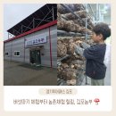더덕농장 | [경기투어패스 김포①] 김포농부｜버섯따기·고추따기·더덕주스 만들기 체험 후기