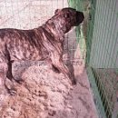 호텔 렉시 이미지