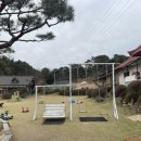 건강한 오리농장 이미지