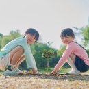 피피쿠스유치원 이미지