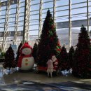 광명스피돔 자전거대여소 이미지