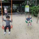 멍멍이 까까 Daum카페