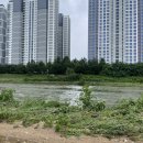 세븐스타코인노래연습장고양 이미지
