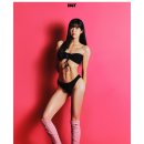 비너스짐 이미지