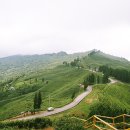 일람농장 이미지