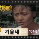 [TV문학관] 269화 겨울새 | (1987/07/25) 이미지