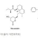 아토스타일 이미지
