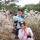 투어윈도우글로벌 - 제주시 서광로 184 | 투어윈도우글로벌