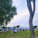2024년 6월 일상 : 한강 플라밍고CC 카쿠레가 렛츠고