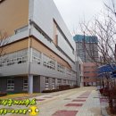 한홀초등학교 이미지