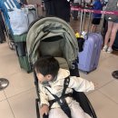 저상목장 | 제주도 3박 4일 여행 (1) - 대한항공, 우동카덴, 한국마사회 제주목장 트랙터 마차 투어, 일휴일, 호커센터