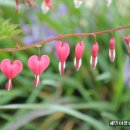 혜민농장 이미지