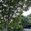 풀림 펜션 네이버블로그
