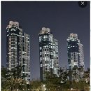 나무부동산중개 이미지