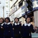 세광약국 이미지