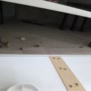 효성해링턴플레이스스마일시티아파트 | 천안 이사청소 효성 해링턴 플레이스 스마일 시티 아파트 깔끔하게 청소합니다