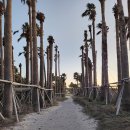 자락협재 이미지