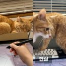 핫 플레이스 PC 이미지