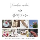 딜라잇모모