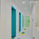스테이이즈인계