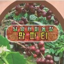 골드캣슬