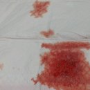 아이윌24시동물병원 이미지