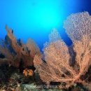 몰디브모텔 이미지