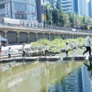 장전온천천로 이미지