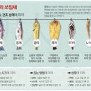 초원슈퍼 이미지