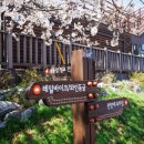 레일바이크공원강변 이미지