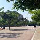 여의도공원인라인대여소 네이버블로그
