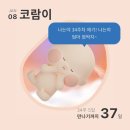 [임신일기]34주~37주 일상, 만삭 임산부의 설날