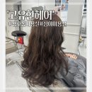 창원 용호동 미용실 &#34;고유한 헤어&#34; 염색 솔직 후기
