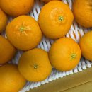 남규농장 이미지