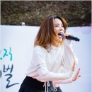 벚꽃뮤직