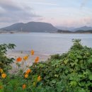 낭도해수욕장 이미지