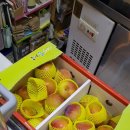 영이농장 이미지