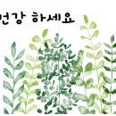 이삼식당 - 포천시 | 이삼식당