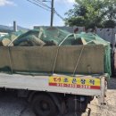 무릉도원면-4 이미지