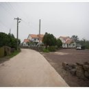 호텔감귤향기 이미지