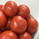 디어마망 이미지