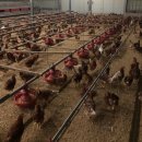 상림농장 이미지