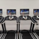 오브 휘트니스 이미지