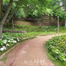 선구동 망산공원 뉴스사천
