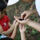 애기능약수터 이미지