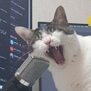 지나네#