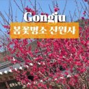 봄꽃에서첫눈까지 이미지